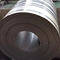 Hittebestendige de Plaatdikte van het Legerings 800/800H Roestvrije staal 0,6 - 20.0mm plaat