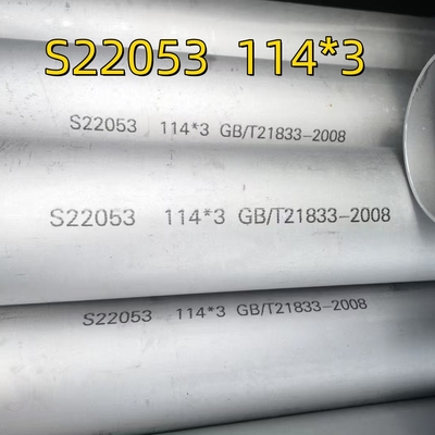 ASTM A790 ASME SA790 S32205 Naadloze Holle Pijp met Grote Diameter 1.4462 Duplex Staal Beitsen