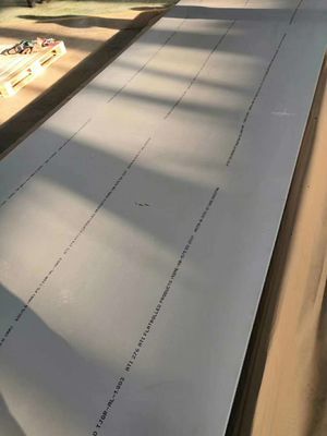 UNS N10276 Hastelloy legering C-276 plaat