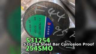 S31254 SMO254 roestvrijstalen staaf 300 mm